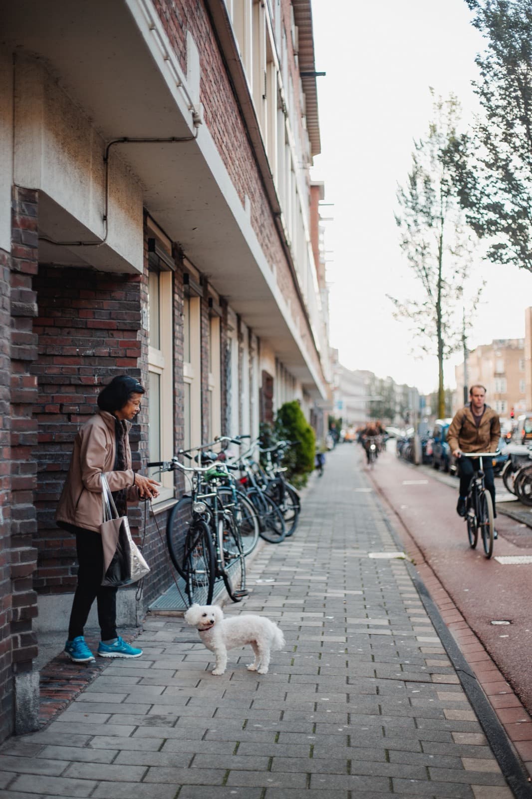 An ordinary Dutch residential street with bicycles, brick houses and people walking